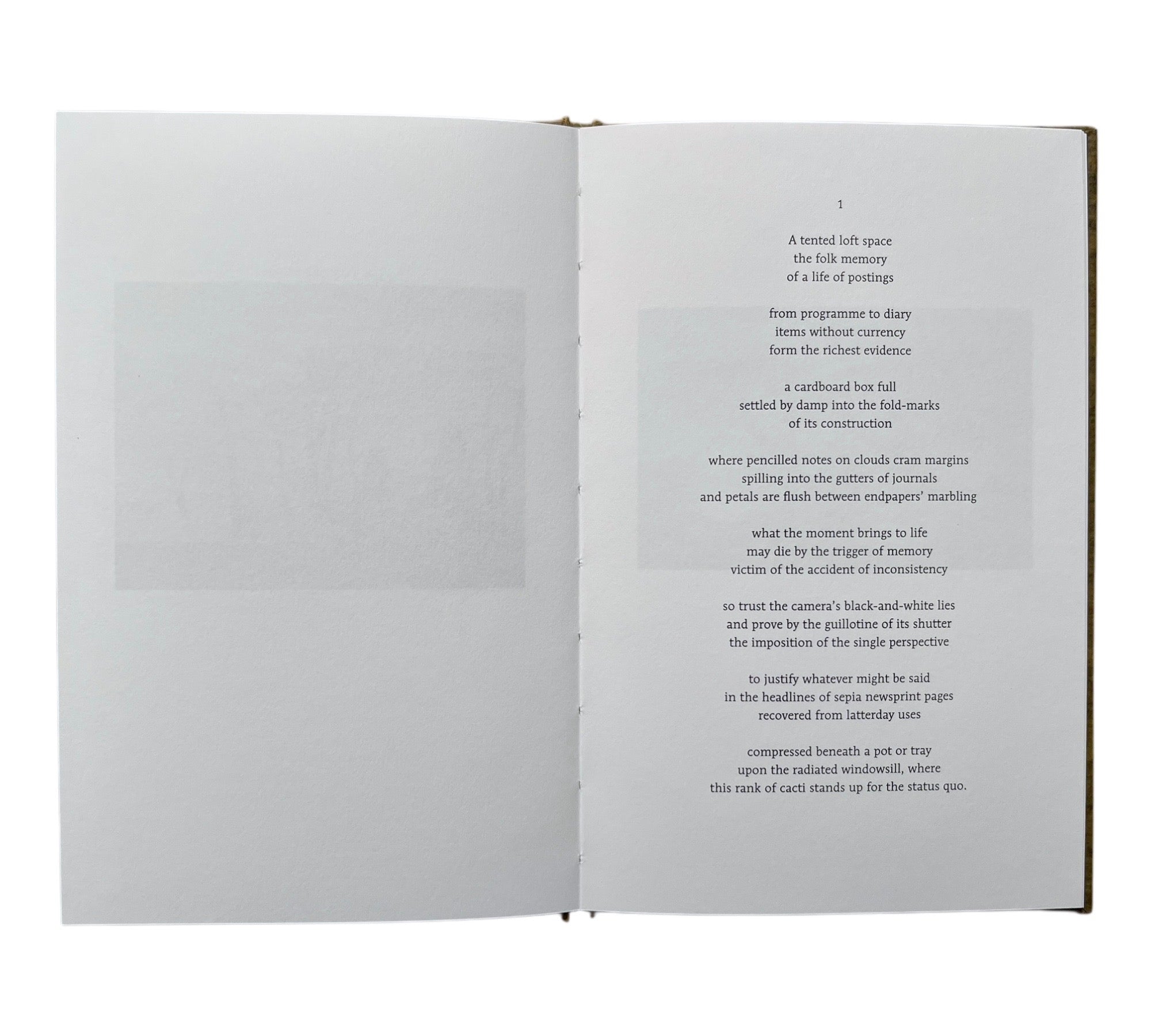 Stephen Skidmore & John Bevis: The Window Paintings