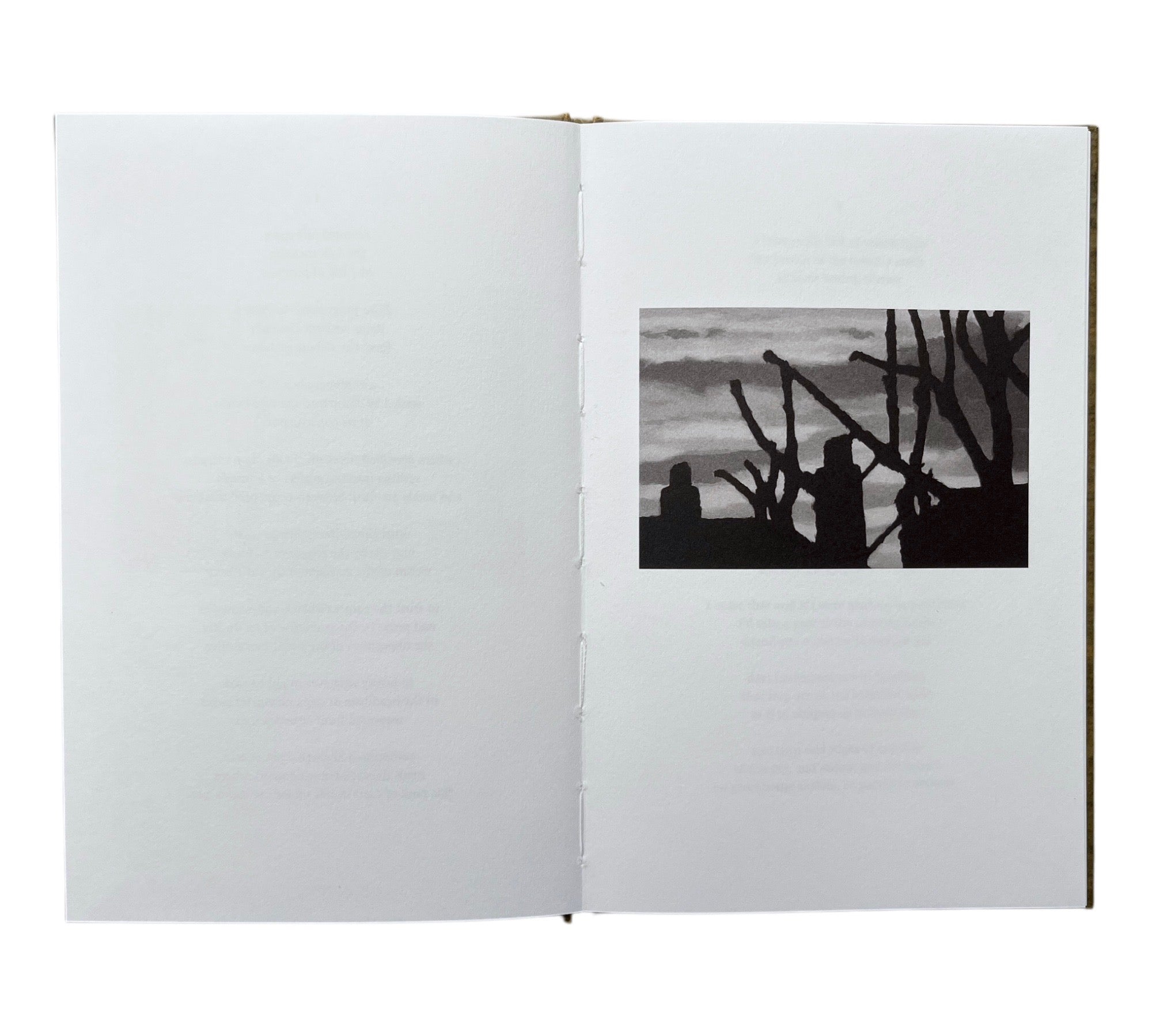 Stephen Skidmore & John Bevis: The Window Paintings