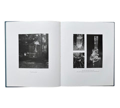 Paul Etienne Lincoln: The Purification of fagus sylvatica var pendula