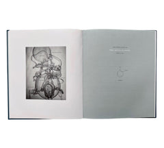 Paul Etienne Lincoln: The Purification of fagus sylvatica var pendula